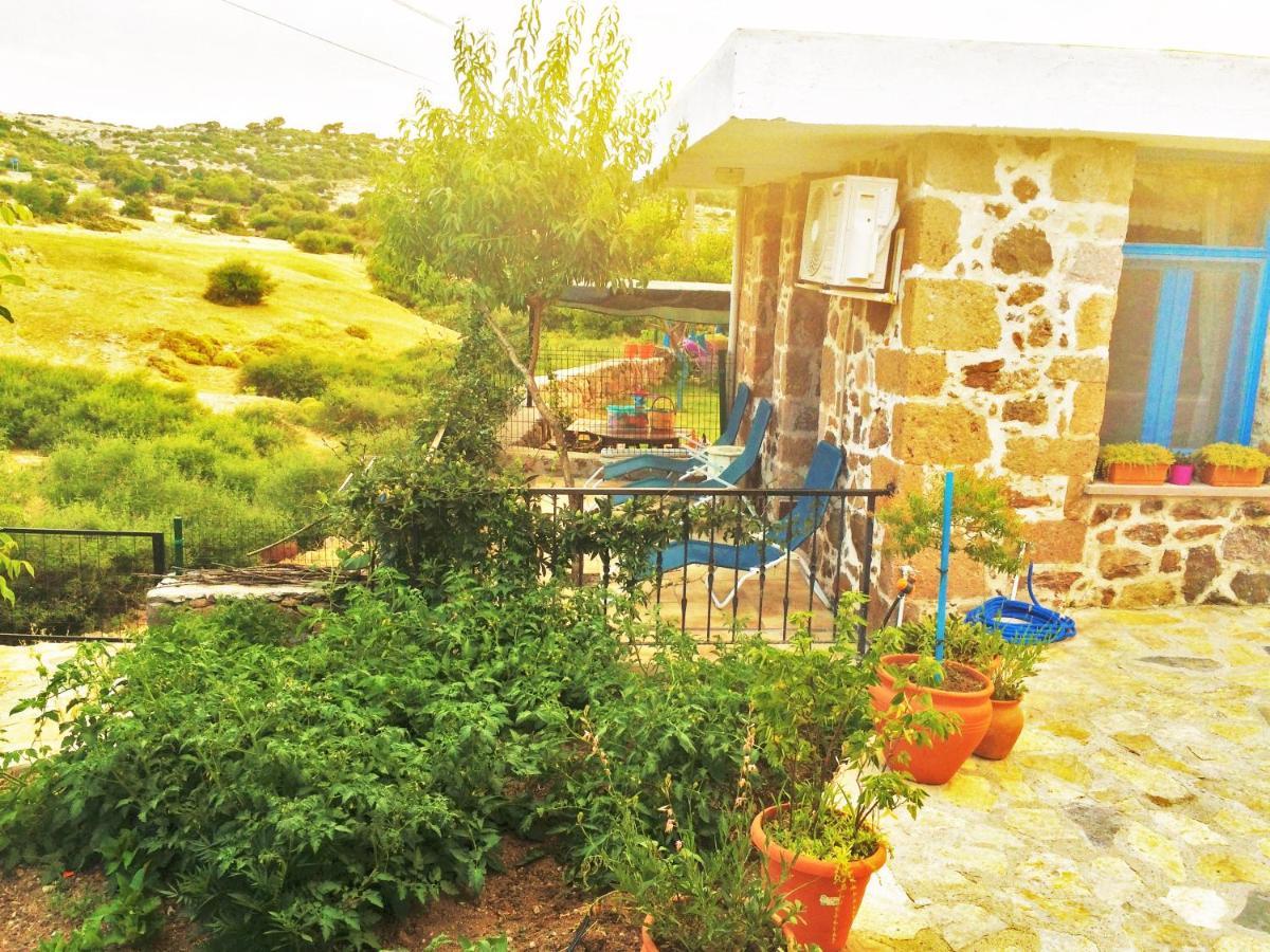 Alterna Koey Evi Guest House Ayvacik ภายนอก รูปภาพ