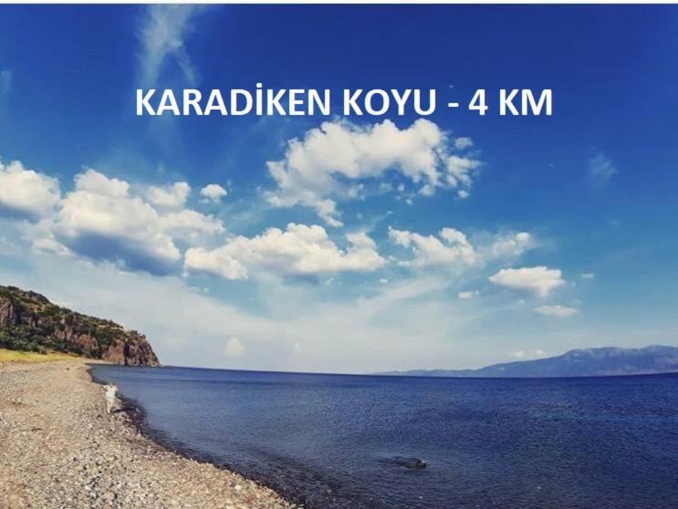 Alterna Koey Evi Guest House Ayvacik ภายนอก รูปภาพ