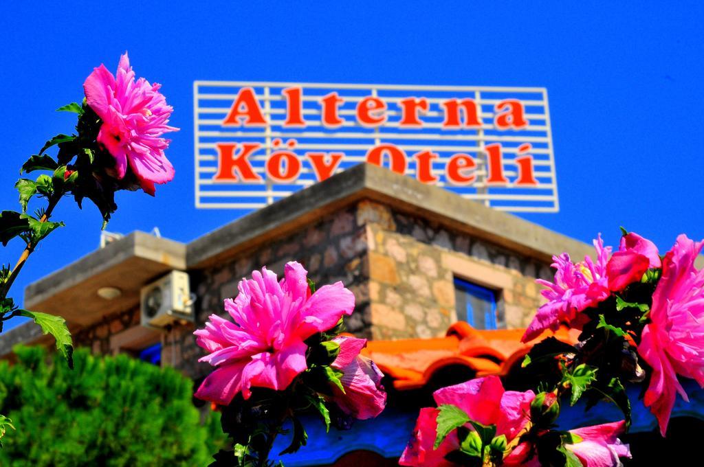 Alterna Koey Evi Guest House Ayvacik ภายนอก รูปภาพ