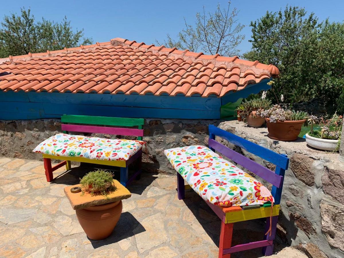 Alterna Koey Evi Guest House Ayvacik ภายนอก รูปภาพ